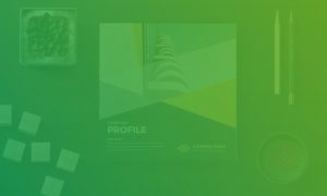 Company Profile Designers, Company Profile South Africa, Local Company Profile Designer, I Want a Company Profile, Get a Company Profile, Corporate profile designers, business profile designers, near me, Pretoria, johannesburg, sandton, Gauteng, Cape Town, south africa