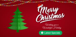 Web Devine - Christmas Specials