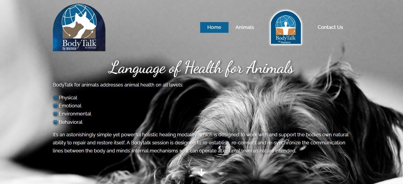 BodyTalk for animals addresses animal health on all levels