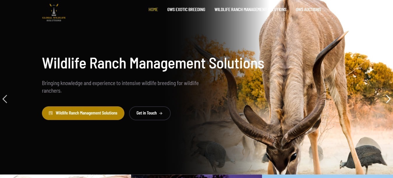 Global Wildlife Solutions, super exotic wildlife breeding, breeders of super exotics, wildlife ranch management solutions, intensive wildlife breeding, wildlife ranchers, buy top quality wildlife, sell top quality wildlife, wildlife auction, website, web designers, web developers