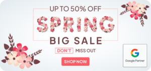 WebDevine - Spring Specials, Website Specials, Google Advertising Specials, Social Media Management Specials, Social Media Advertising Specials, Specials on Websites