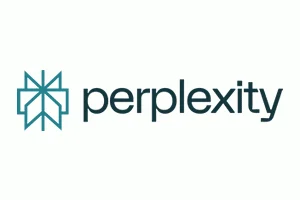 Perplexity